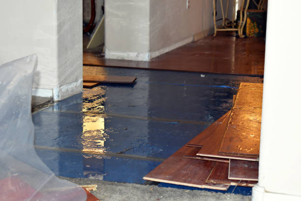 Professional Burst Pipe Cleanup technician working in Anna, TX